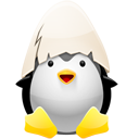 Penguin pingouin pinguino 122